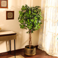 Artificial Ficus Plant in Black Pot (180 cm)