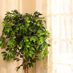 Artificial Ficus Plant in Black Pot (180 cm)