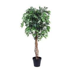 Artificial Ficus Plant in Black Pot (180 cm)