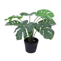 Artificial Monstera Plant in Black Pot (55 cm)