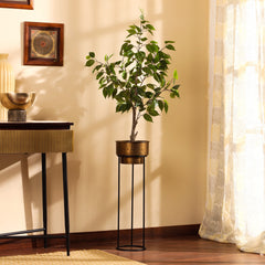 Artificial Ficus Plant in Black Pot (90 cm)