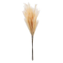 Artificial Pampas Sticks (3 Sticks, 110 cm, Brown)