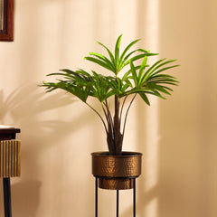 Artificial Rhapis Palm (60 cm)