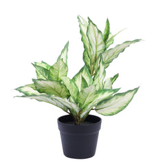 Artificial Pink Dieffenbachia Potted Plant (60 cm)