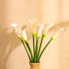 Artificial Calla Lily Flower Sticks (5 Sticks, 70 cm, White)