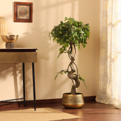 Artificial Ficus Bonsai in Black Pot (120 cm)