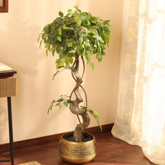 Artificial Ficus Bonsai in Black Pot (120 cm)