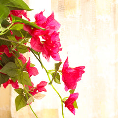 Artificial Bougainvillea Flower Potted Plant (50 cm)