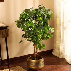 Artificial Ficus Plant in Black Pot (120 cm)