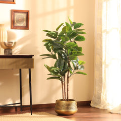 Artificial Rubber Tree in Black Pot (120 cm)