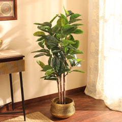 Artificial Rubber Tree in Black Pot (120 cm)