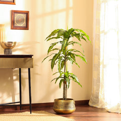 Artificial Dracaena Plant in Black Pot (120 cm)