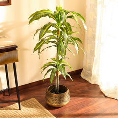 Artificial Dracaena Plant in Black Pot (120 cm)