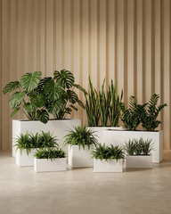 Rectangle Fiberglass Planter – Matte White
