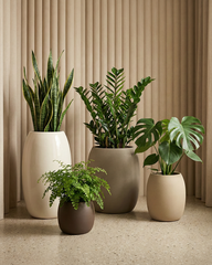 Lilly Fiberglass Planter – Soft Curved Modern Finish