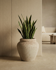Broom Traditional Fiberglass Planter – Terra