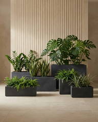 Rectangle Fiberglass Planter – Charcoal Grey