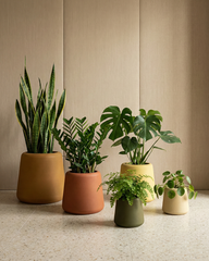 Zombi Fiberglass Planter – Earthy Matte Finish