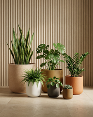 Hollyhock Fiberglass Planter – Textured Modern Finish