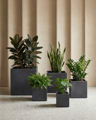 Cube Fiberglass Planter – Modern Square Matte Finish Planter