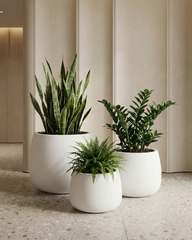 Olive Fiberglass Planter – White
