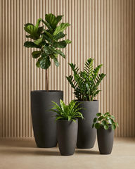Big Shark Fiberglass Planter – Matte Black Tall Modern Planter