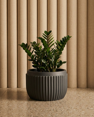 Orchid – D Fiberglass Round Planter – Grey | Modern Ribbed Design