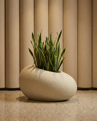 Patato-D Fiberglass Planter – Oyster White | Sculptural Form