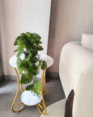 Preserved Monstera Deliciosa Leaf Decor