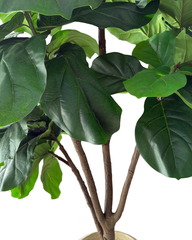 Artificial Rich Jumbo Fiddle Leaf Fig - 9 ft (260 cm)