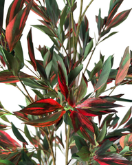 Artificial Olive Style Tree 150cm (5ft)