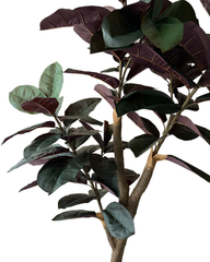 Artificial True-to-Life Red Rubber Plant - 5 ft (150 cm)