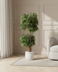 Artificial Ficus Double Tree Topiary 168cm (5.5ft)