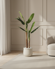 Artificial Banana Tree Plant 150cm (5ft)