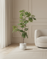 Artificial Feathery Leaf Tree Plant 150cm (5ft)