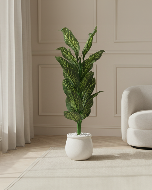 Artificial Variegated Dumb Cane Plant 168cm (5.5ft)