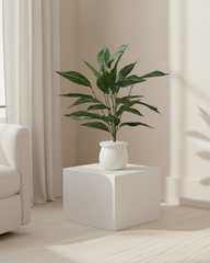 Artificial Striped Foliage Plant 60cm (2ft)