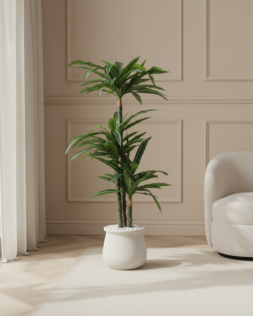 Artificial Dracaena Fragrans Tree 150cm (5ft)