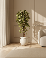 Artificial Variegated Ficus Weeping Tree 180cm (6ft)