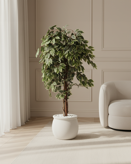 Artificial Variegated Ficus Weeping Tree 150cm (5ft)