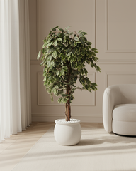 Artificial Variegated Ficus Weeping Tree 150cm (5ft)