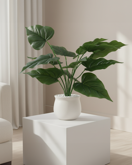 Artificial Broad Leaf Philodendron Plant 45cm (1.5ft)