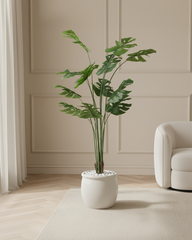 Artificial Monstera Deliciosa Tree 180cm (6ft)