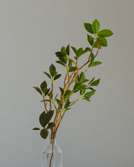 Artificial Green Sticks for Vases (3 Sticks, 75 cm)