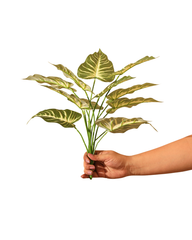 Artificial Striped Arrow Leaf Plant 45cm (1.5ft)