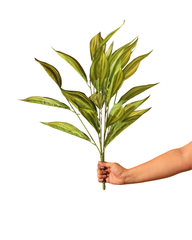Artificial Striped Dracaena Plant 60cm (2ft)