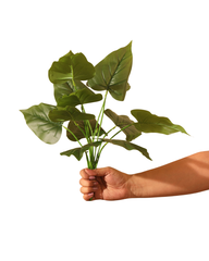 Artificial Broad Leaf Philodendron Plant 45cm (1.5ft)