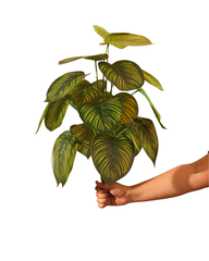 Artificial Philodendron Gloriosum Plant 60cm (2ft)