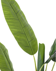Artificial Banana Tree Plant 150cm (5ft)