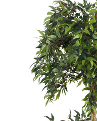 Artificial Ficus Double Tree Topiary 168cm (5.5ft)